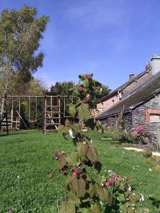 Gite Les 7 Frenes Vaux-sur-Sure Zewnętrze zdjęcie